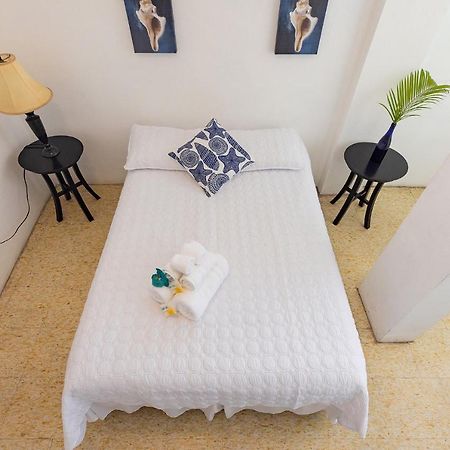 Vieques Tropical Guest House Exterior foto